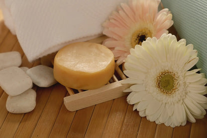 Organic Citrus Conditioner Bar | Eco-Friendly Hair Care