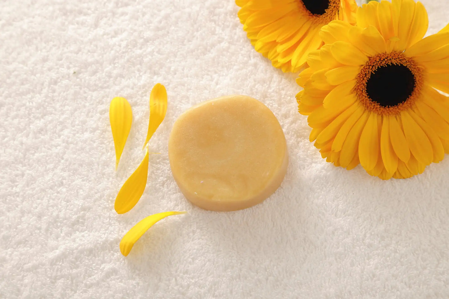 Organic Citrus Conditioner Bar | Eco-Friendly Hair Care