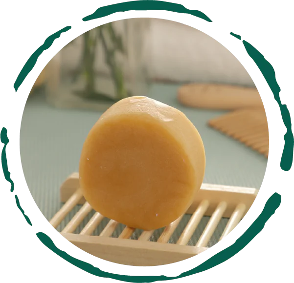 Organic Citrus Conditioner Bar | Eco-Friendly Hair Care