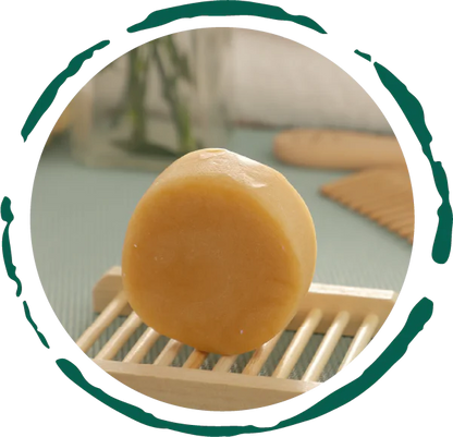 Organic Citrus Conditioner Bar | Eco-Friendly Hair Care